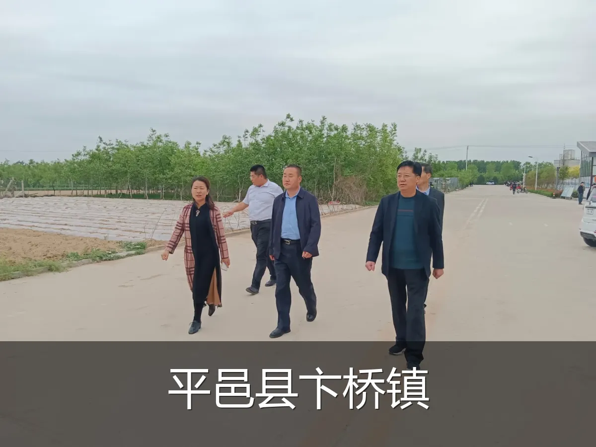 平邑县卞桥镇