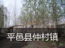 平邑县仲村镇